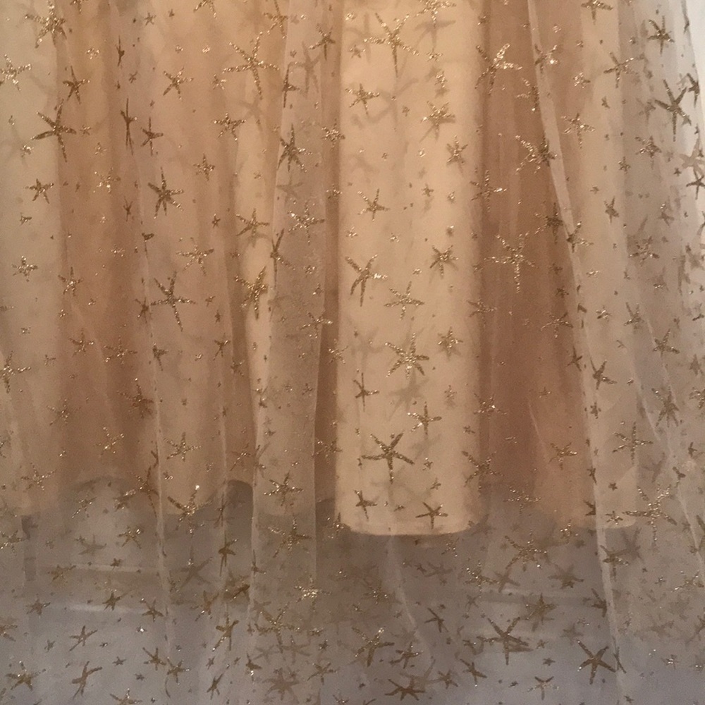 Anthropologie Eva Franco tulle Star ⭐️ skirt 6 💫 - Picture 4 of 7